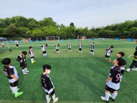 와이앤씨스포츠