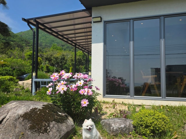 카페몽
