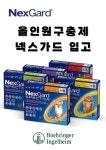드림약국