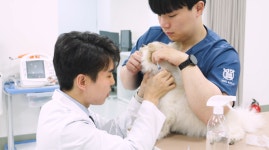 SNU반려동물검진센터