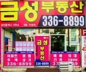 금성부동산공인중개사사무소