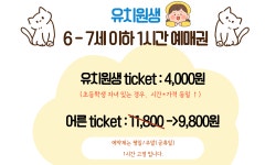 냥스테이 고양이카페