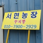 서현농장
