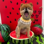 멍꾸