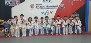 메가스태권도장