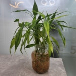 부동산이즈엄마는중개왕공인중개사사무소