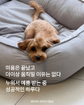 댕모먼트