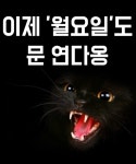 금용