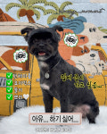 댕모먼트