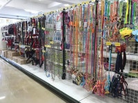 펫마트 포항상도점