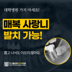 더에스플란트치과의원