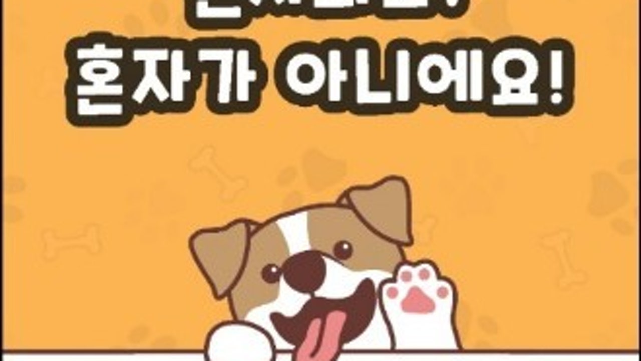 루이야학교가자