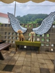 영운36카페