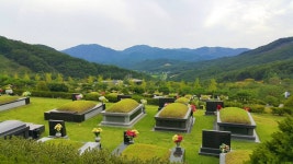 별그리다(THEHILL)