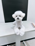 플러플리 FLUFFLY
