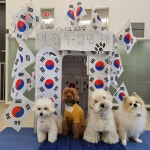 바우라움 강아지유치원&호텔 메인캠퍼스