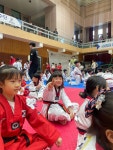한국체대백호태권도장
