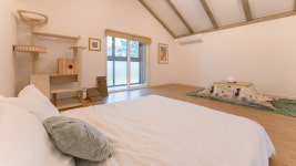 네코스테이고양이마을