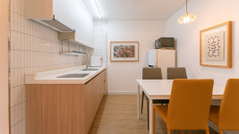 네코스테이고양이마을