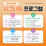 엘로이동물병원