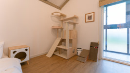 네코스테이고양이마을