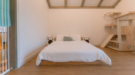 네코스테이고양이마을