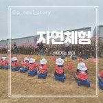 이편한로이어린이집
