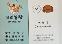 꼬리살랑 애견미용