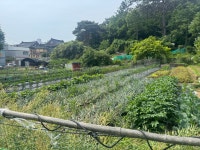 김씨고깃간