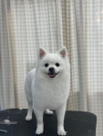 몽시떼루