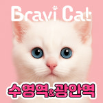 부산고양이 브라비캣 펫스테이션점