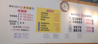 범어 자연산참가자미회