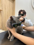 오래봄동물병원