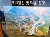 정선애장어 먹으러 와요