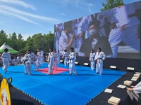 대영태권도