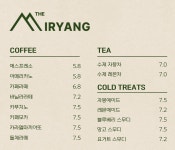 더미량