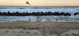 바닷가시골집배추밭민박