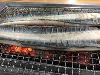 서해숯불민물장어