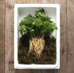 농업회사법인 평창새싹나라