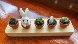 밥풀