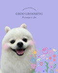 그루그루밍 애견미용실