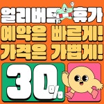 켈리독 강남 애견호텔 애견유치원