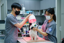 레이크동물의료센터