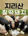 넙딱집 신부본점