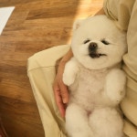 몽까듀
