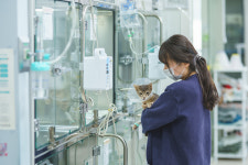 레이크동물의료센터