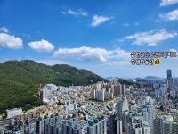 성원공인중개사사무소