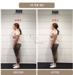 짐앤테라피 피티