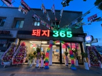 돼지365