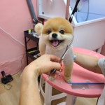 몽까듀